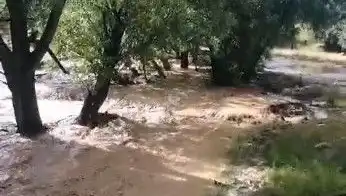 Mersin'de Kısa Sürede Yağmur Sele Dönüştü: Şehir Etkilendi