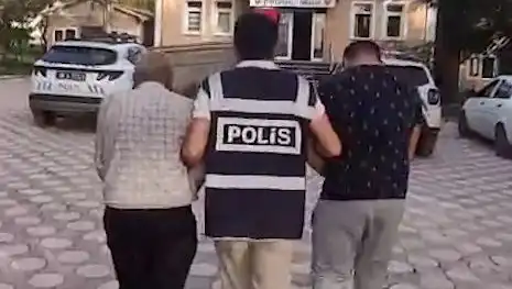 Türkiye’de Köpek Dövüşlerine Şok Baskın: Çok Sayıda Gözaltı