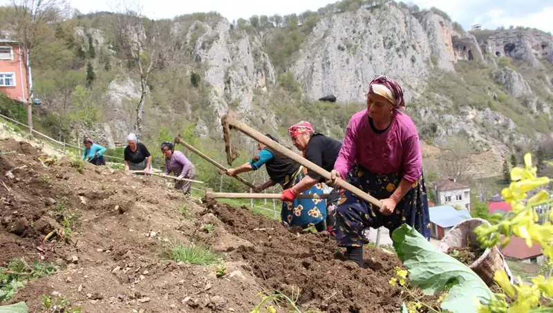 Zorlu Mesainin Başladığı Gün: Sırtlarındaki Sepetler, Ellerdeki Kazmalar