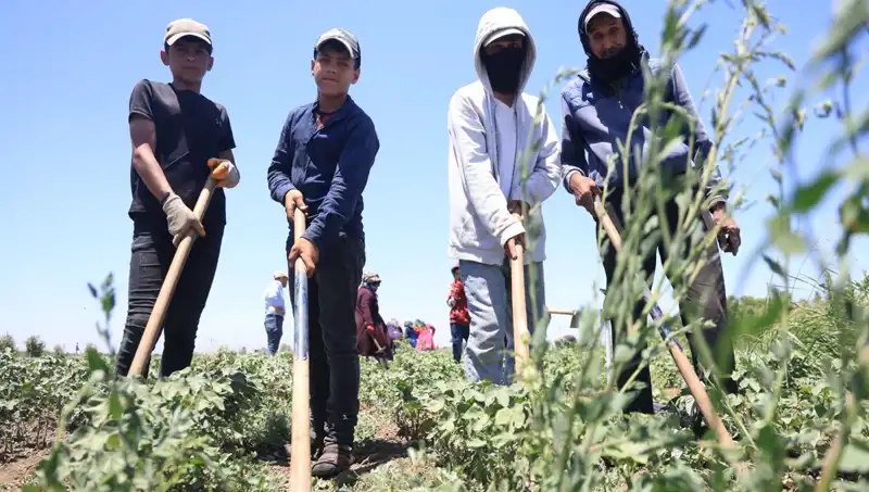 40 Derecede Çalışan İşçilere 650 TL Yevmiye Zorluğu