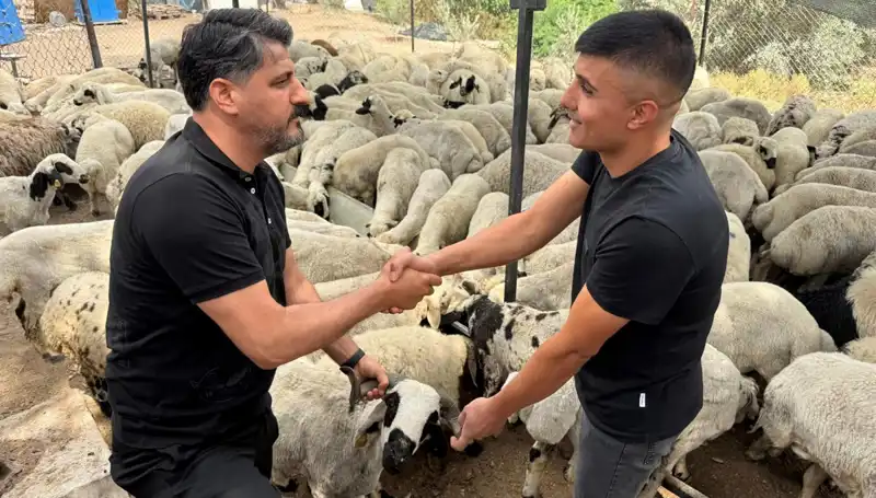 Kurbanlık Alırken Dikkat Edilmesi Gereken 5 Altın Kural