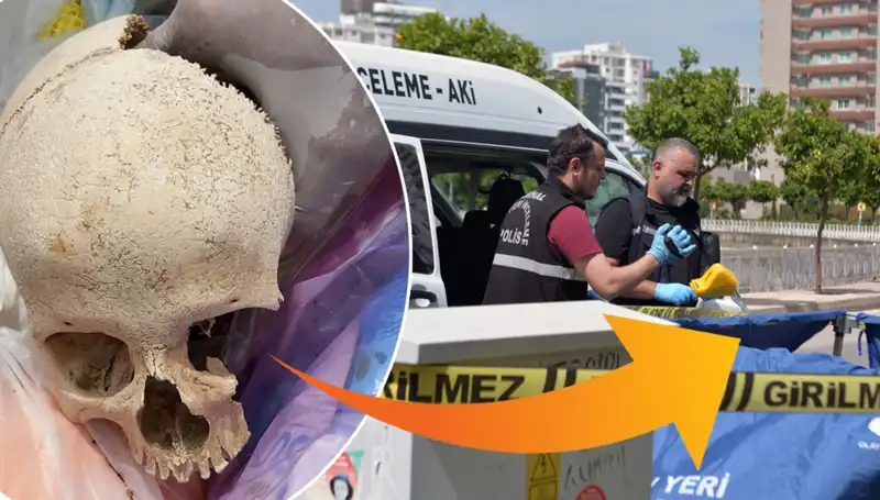 Sitenin Çöpünde Bulunan Kafatasının Sırrı Ortaya Çıktı, Uzman Doktor Gözaltında!
