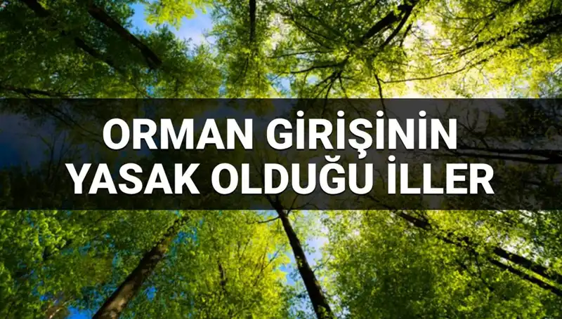 2025'te Orman Girişinin Yasaklandığı İllere Dikkat!