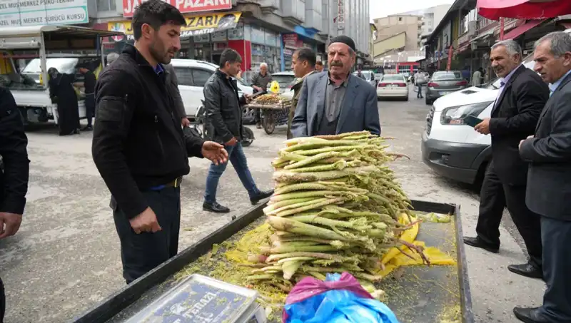 Doğanın Şifa Kaynağı: Dağların Sunduğu Şekerin Sağlık Faydaları