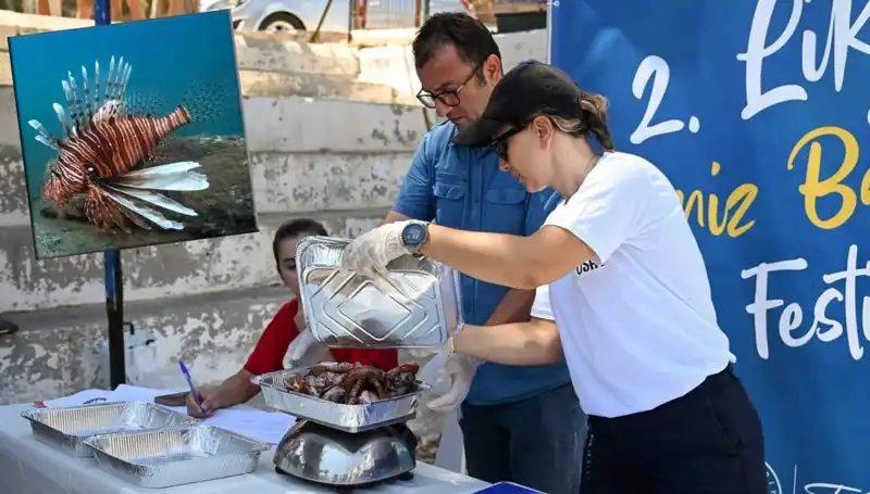 Antalya'da Yıldızlar Geçidi: İstilacı Aslan Balığı Avlama Yarışması