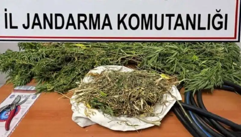 Niğde'de Tarihi Uyuşturucu Operasyonu: 140 Kilo Narkotik Ele Geçirildi