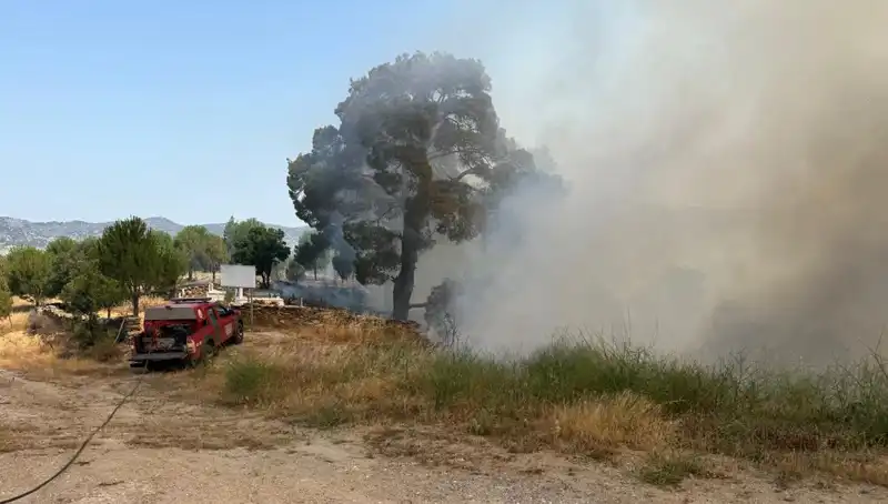 Muğla'da Orman Yangını: Doğanın Kalbi Yanıyor, Uzmanlardan Acil Uyarılar