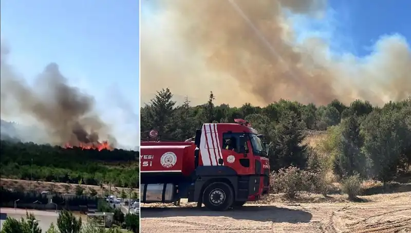 Gebze'de Peş Peşe Ortaya Çıkan Orman Yangınları: Sebepler ve Sonuçlar