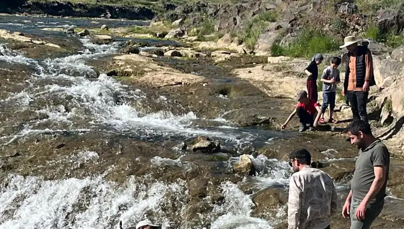 İnci Kefalinin Büyüleyici Göçü: Doğanın Harikası Turistleri Bekliyor