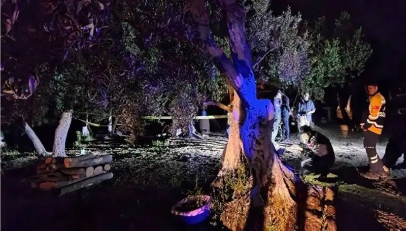 Çiftlikteki Baltalı Vahşet: Sarsıcı Olayın Ardındaki Gerçekler