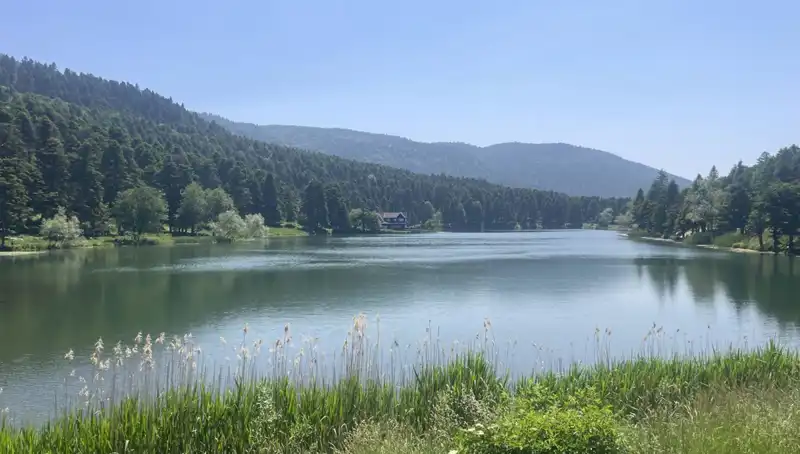 Bolu’nun Milli Parklarına Ziyaretçi Akını: Doğanın Kalbinde Keşif Zamanı