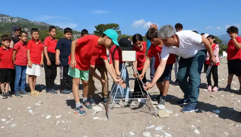 Kemer'de Caretta Caretta Koruma Yasakları Başladı: Yaz Sezonu Öncesi Önlemler Alınıyor