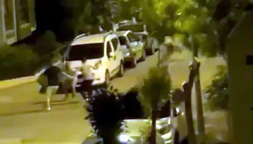 Avcılar’da 3 Kişinin Saldırdığı Vatandaşı Kahramanlar Kurtardı
