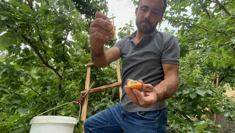 50 TL ile 70 TL Arasında Alıcısını Bulan Eşsiz Lezzet