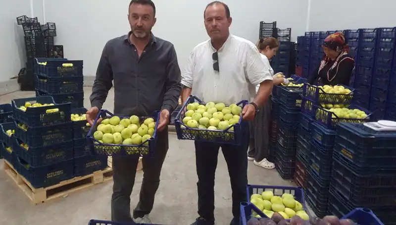 Mersinli Çiftçi, İhraçla Yüzde Yüz Kazanç Sağladı!