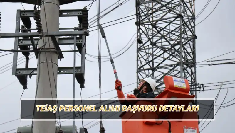 TEİAŞ Personel Alımı Başvuruları Başladı: İhtiyaç Duyulan Branşlar ve Şartlar