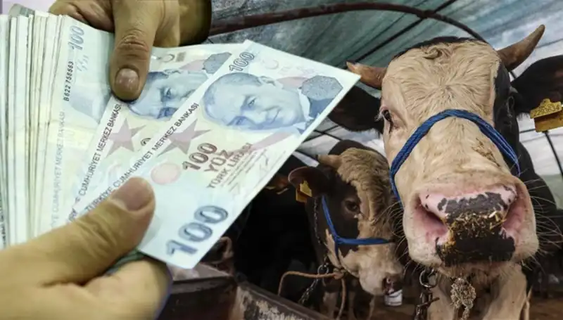 Memur ve Emekli Maaşları Bayram Öncesi Yatacak mı? Tarihler Açıklandı!