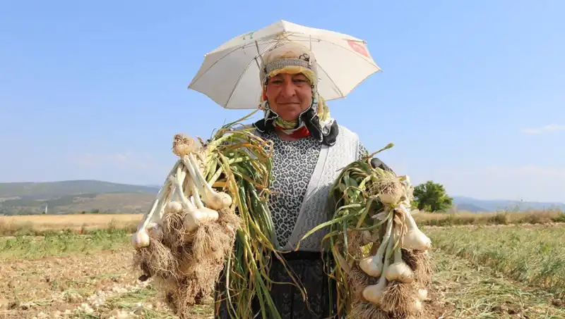 Kışın Hayalini Kurarken Yazın Kavurucu Sıcaklarıyla Mücadele Edenler