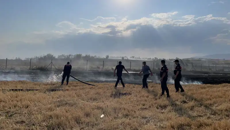 Merzifon'da Tarım Arazisi Yangınla Küle Döndü: Üreticiler Zor Sınav Verdi
