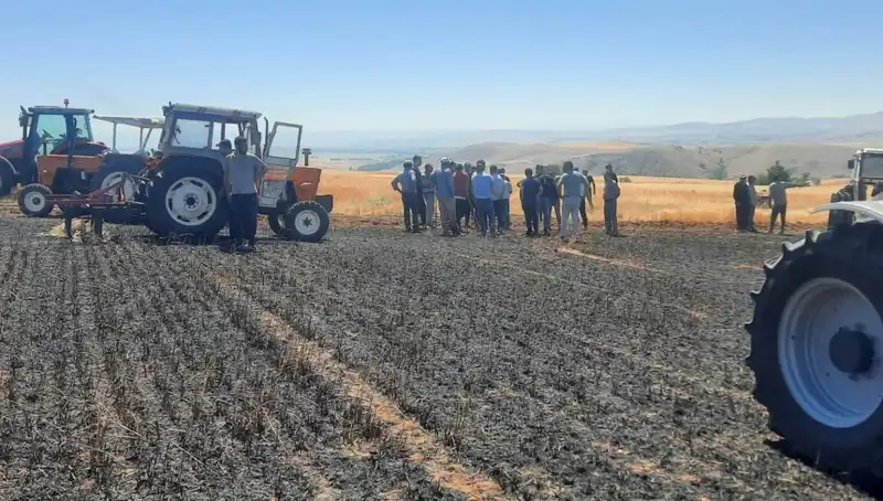 Yozgat’ta 100 Dönümlük Tarım Arazisi Kül Oldu: Yangının Sebepleri ve Sonuçları Neler?