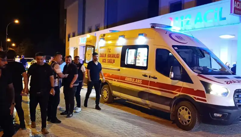 Kardeş Kavgasında Facia: Genç Adam Hayatını Kaybetti