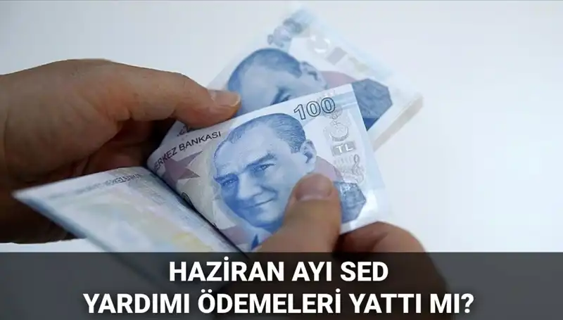 Haziran 2025 SED Ödemeleri: Sorgulama ve Yatma Tarihleri Hakkında Bilgilendirme