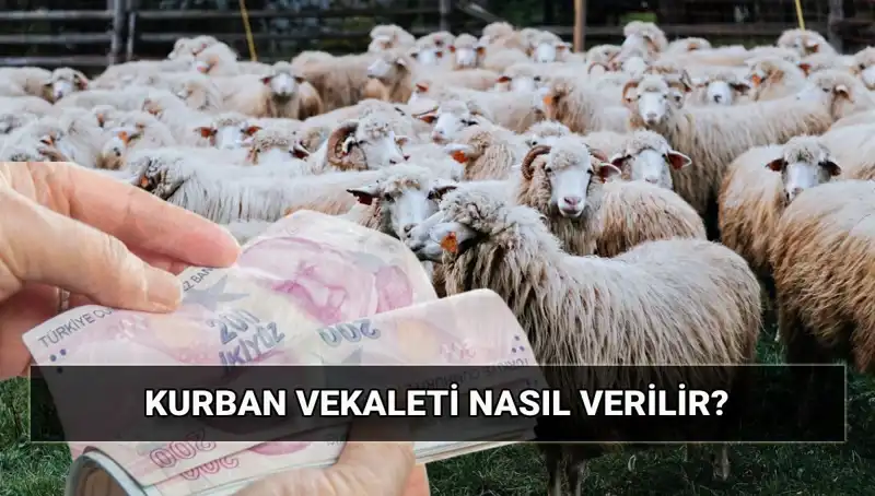 Vekaletle Kurban Kesimi: 2025 İçin İhtiyaç Duyulan Tüm Bilgiler