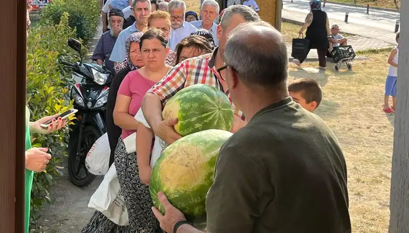 Türkiye'de Hasat Sezonu: Tarlada Kalan Ürünler Bedava Dağıtılıyor!