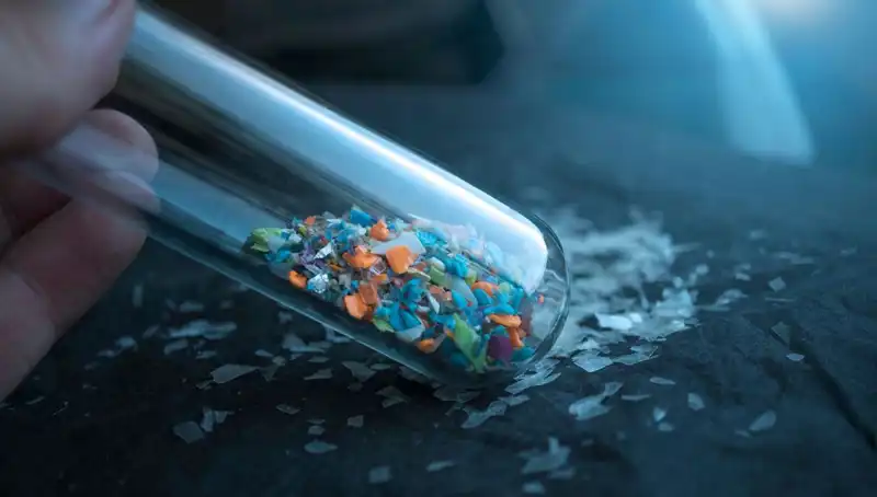 Mikroplastikler İnsan Beynine Sızarak Sağlığımızı Tehdit Ediyor!