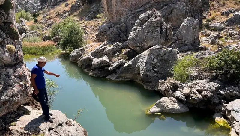 Kayalar Arasında Doğal Bir Harika: Unutulmaz Manzaralarla Dolu Doğa Parkı