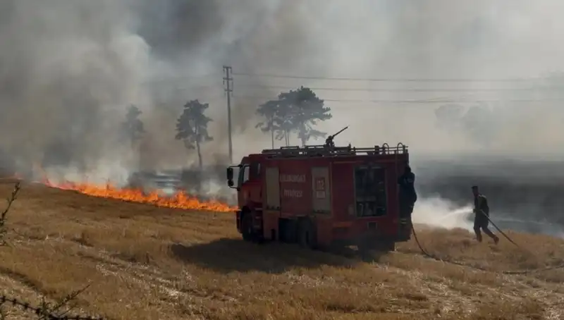 Kırklareli'nde Anız Yangını Heyecan Verdi: Ekipler Seferber Oldu