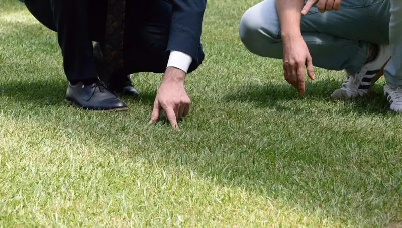 Tartışmalı Stadyum Zemini Hakkında Son Gelişmeler: 10 Gün İçinde Hazır Olacak mı?