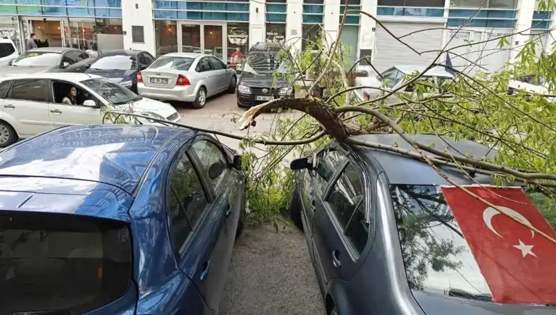 Kayseri'de Fırtına Korkuttu: Dallar Kırıldı, Hayat Durma Noktasına Geldi