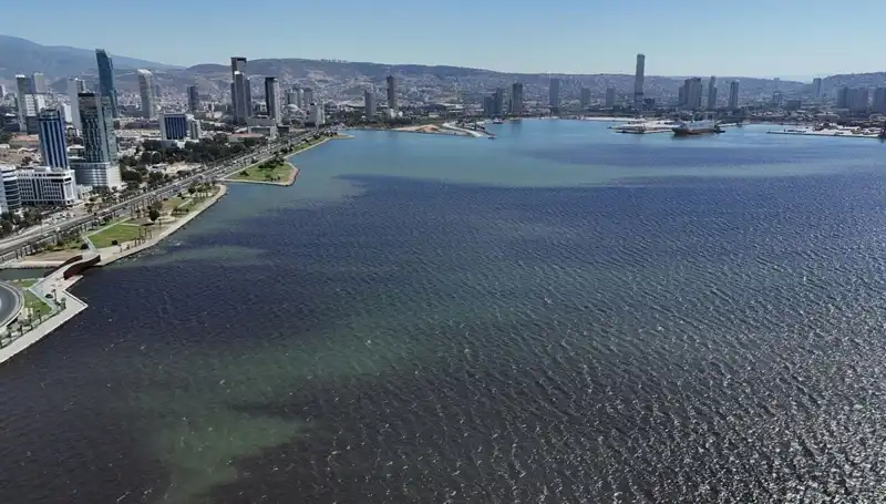 İzmir Körfezi'nde Kötü Koku Alarmı: Nedenleri ve Çözümleri