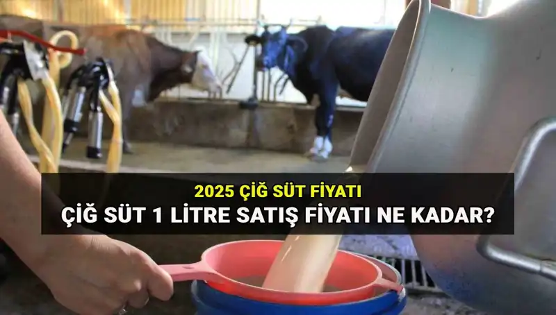 Çiğ Süt Fiyatlarında 2025 Beklentileri: Ulusal Süt Konseyi Raporu