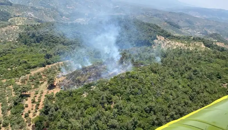 Aydın'da Orman Yangını: Yangınla Mücadelede Yeni Gelişmeler ve Son Durum
