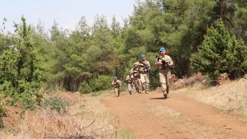 Kilis'te Orman Yangınlarıyla Mücadele: Denetimler ve Alınan Önlemler