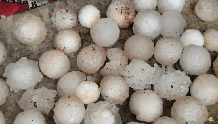 Şanlıurfa'da Kar Topu Büyüklüğünde Dolu Yağışı Korkuttu