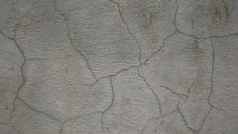 Geleceğin İnşaatı: Canlı Beton Çatlakları Kendi Kendine Onarıyor
