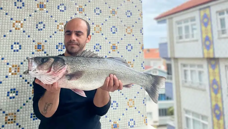 7,5 Kiloluk Dev Levrek, Balıkçıların Yeni Rekoru Oldu!