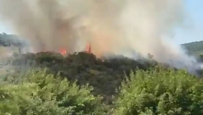 İstanbul'da Orman Yangını: Acil Durum ve Tahliyeler Başladı