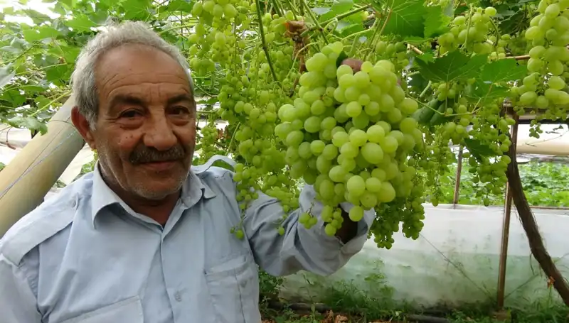 Zirai Don Meyve Fiyatlarını Altüst Etti: İlk Ürünler 250 TL'ye Satılıyor!