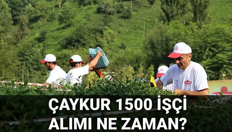 Çaykur İşçi Alımı Başvuru Tarihleri ve Son Durum Hakkında Bilmeniz Gerekenler