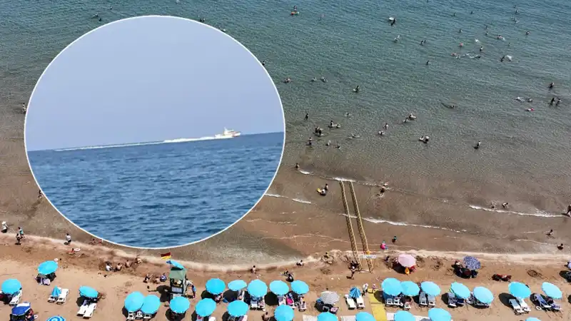 Plajda Köpek Balığı Korkusu: Gerçekler Neler, Sahil Neden Boşaltıldı?